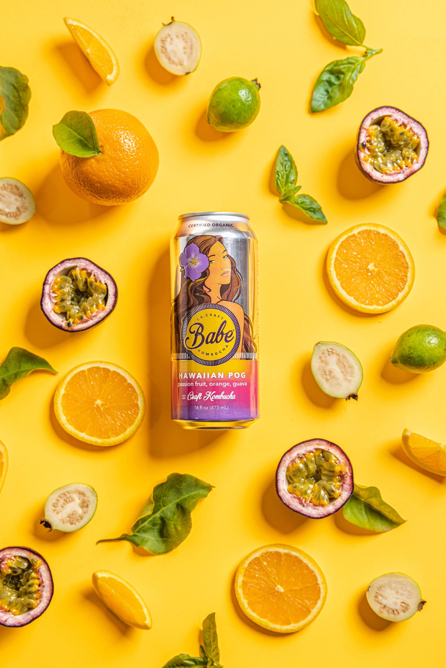 Hawaiian POG Kombucha - (Passion Fruit, Guava) - 12 Pack